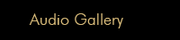 Audio Gallery